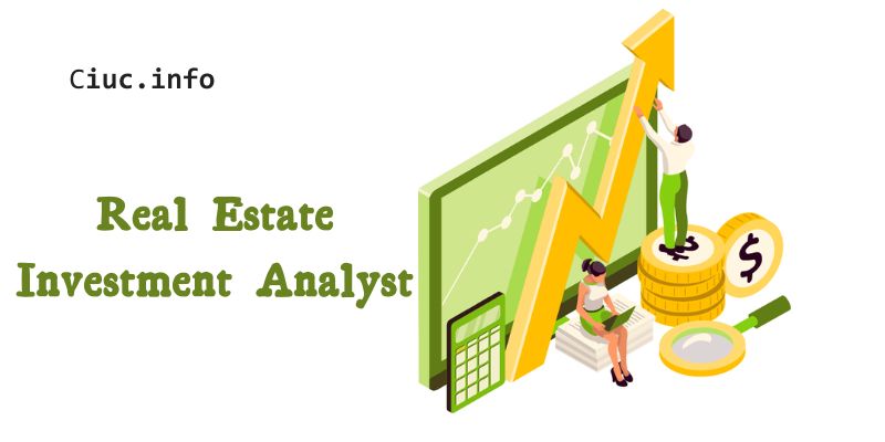 Real Estate Investment Analyst: Assessing Profitability