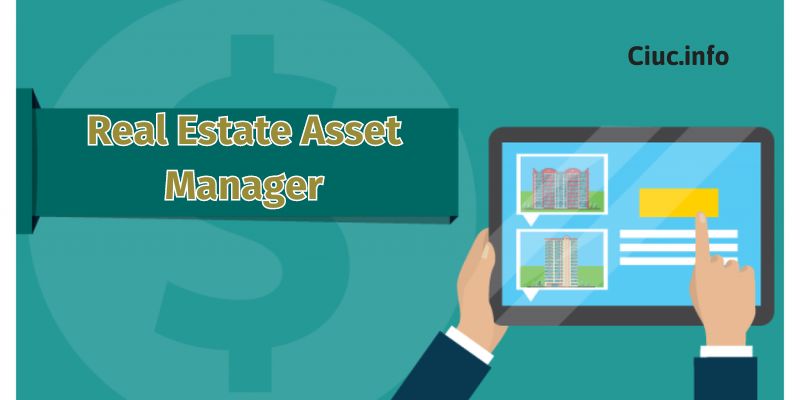 Real Estate Asset Manager