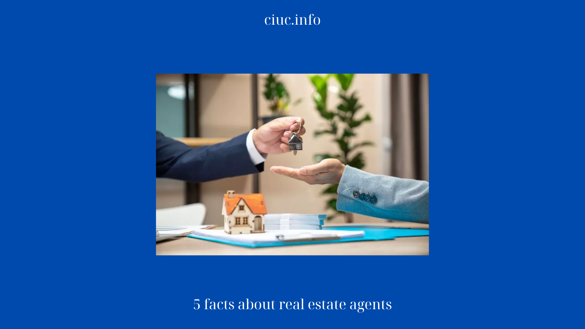 5 facts about real estate agents