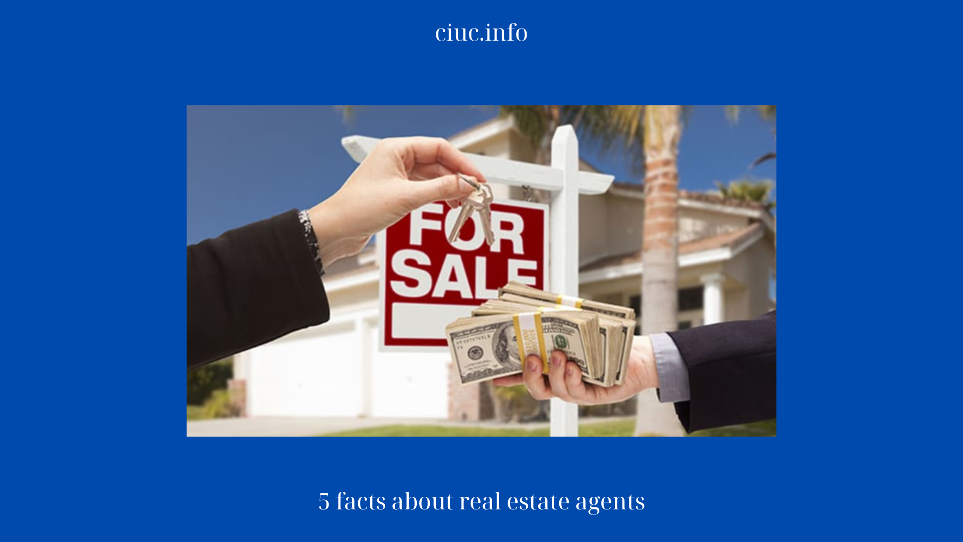 5 facts about real estate agents